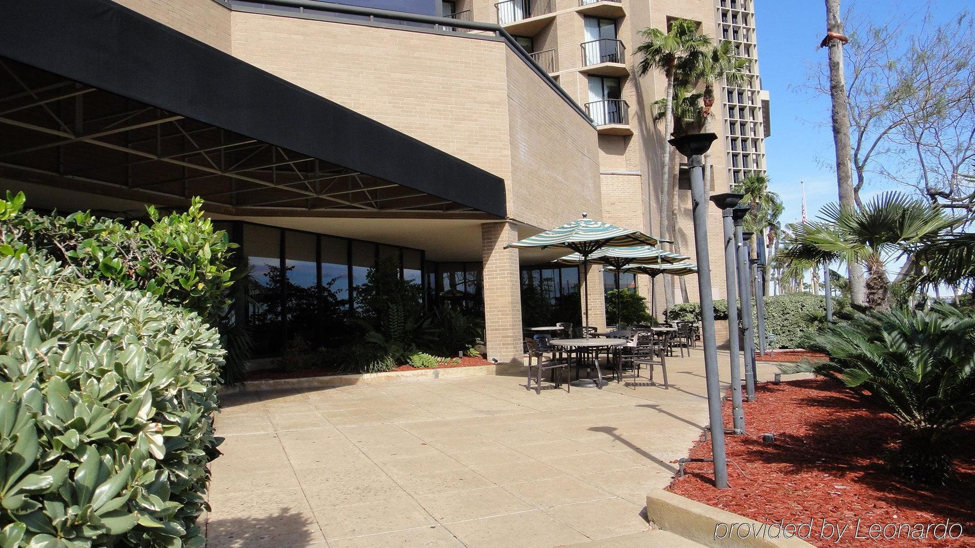 Holiday Inn Corpus Christi Downtown Marina By Ihg Kültér fotó